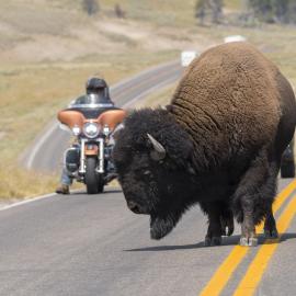 Voyage à moto : USA